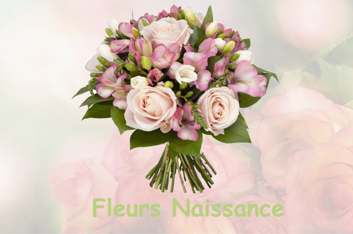 fleurs naissance SAINT-LAURENT-DE-COGNAC